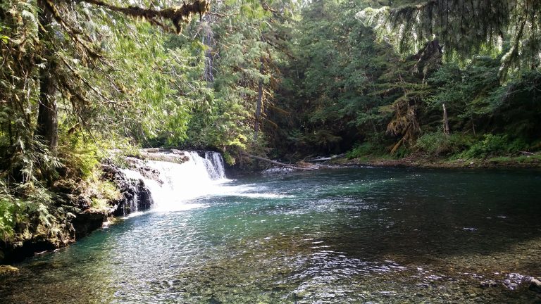 Waterfall in the forest – BCcampus