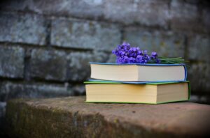 Open Chat - Exploring Nuances of Open Educational Practices