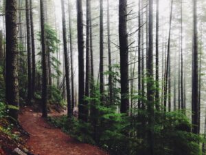 Reconciliation with Radical Thought, Action, and Heart by Len Pierre